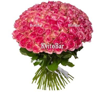 101 троянда Джумілія