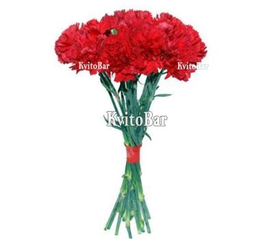 11 червоних гвоздик