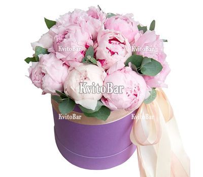13 рожевих півоній в коробці