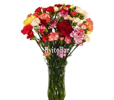 15 кущових гвоздик