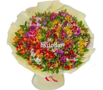 151 альстромерія