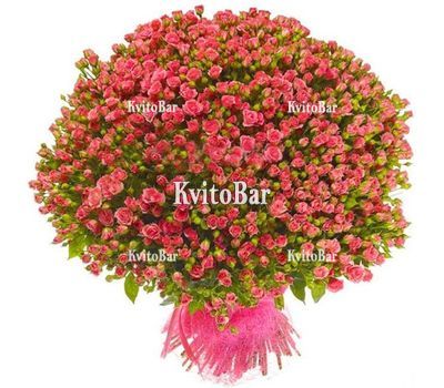 151 кущова троянда