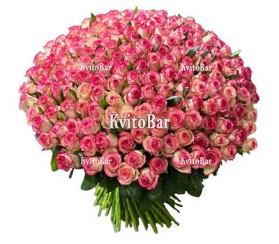 151 троянда Джумілія