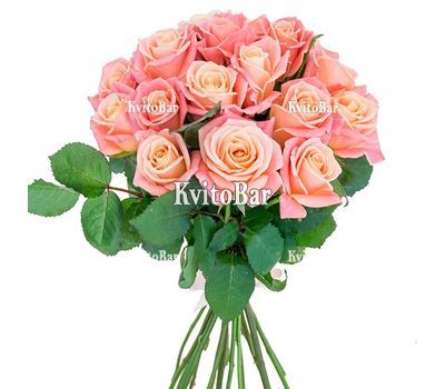17 персиковых роз