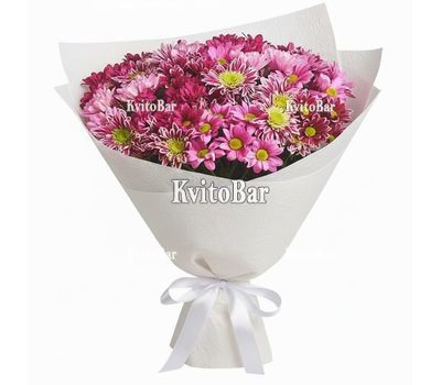 19 chrysanthemums