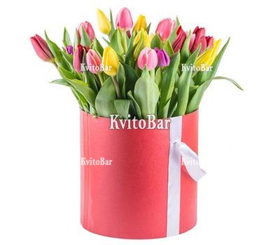 21 різнокольоровий тюльпан