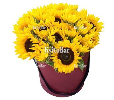 21 соняшник в коробці