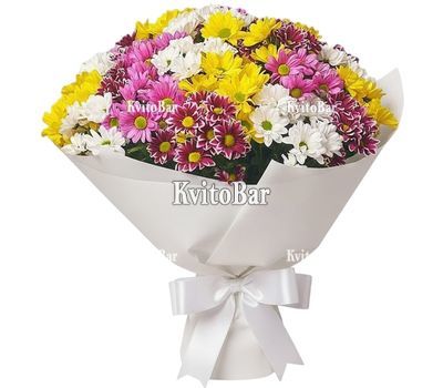 23 різнокольорові хризантеми