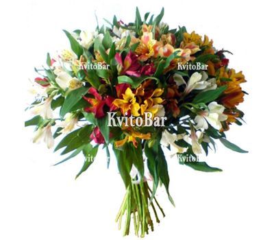 25 різнокольорових альстромерій