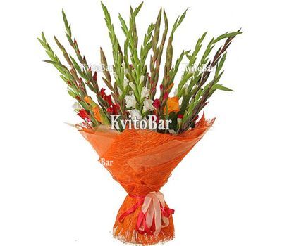 25 різнокольорових гладіолусів