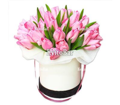 25 рожевих тюльпанів у коробці