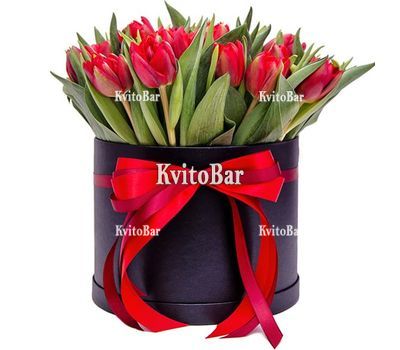 29 червоних тюльпанів в коробці
