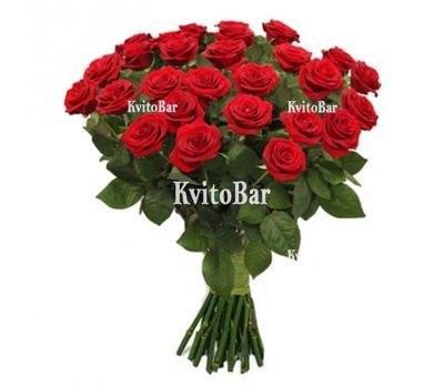 33 red roses