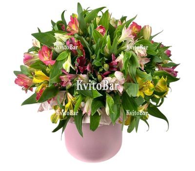 35 альстромерій в коробці