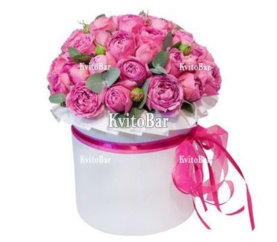 39 рожевих півоній в коробці