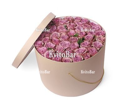 41 Роза Меморі лейн в коробці