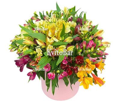 45 alstroemerias in a box