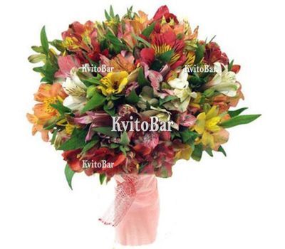 45 multi-colored alstromeries