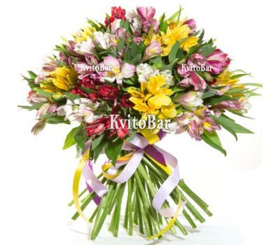 51 альстромерия