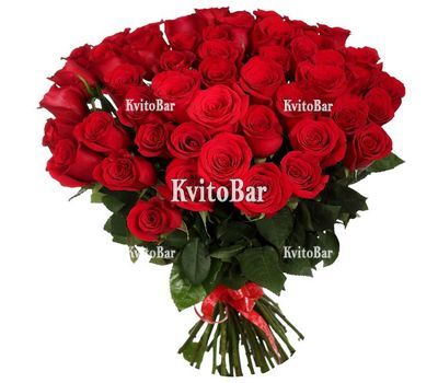 51 червона троянда 50 см