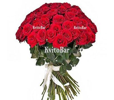 51 червона троянда 70 см