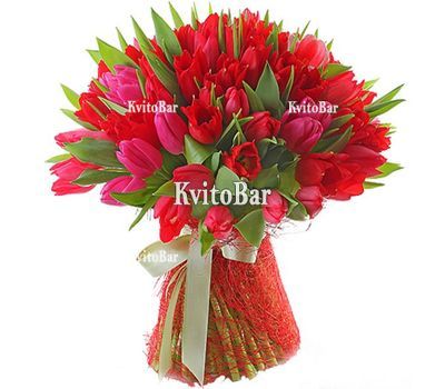 51 червоний тюльпан