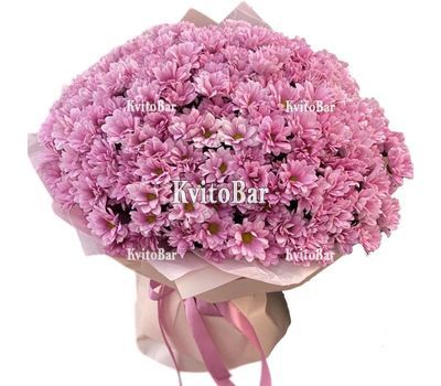 Букет із 51 рожевої хризантеми