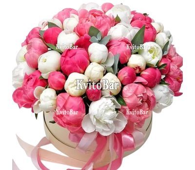 51 пион в коробке