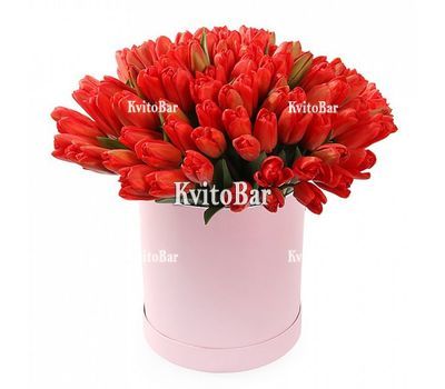 51 тюльпан в коробці