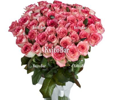 51 троянда Джумілія