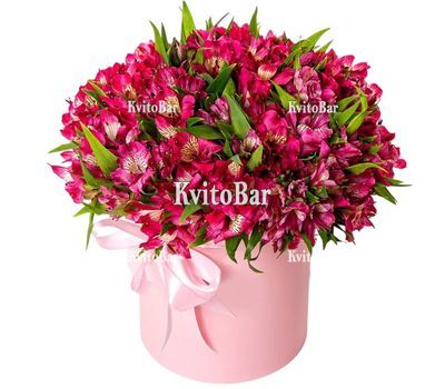 55 альстромерій в коробці