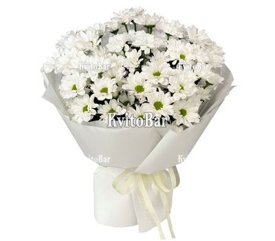 9 ромашкових хризантем