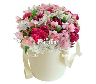 Alstroemeria in the box