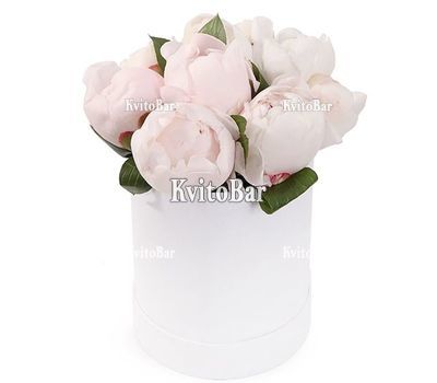 Белые пионы в коробке