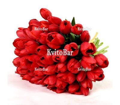 Букет червоних тюльпанів