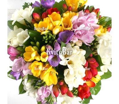 Букет фрезій