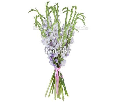 Букет гладіолусів