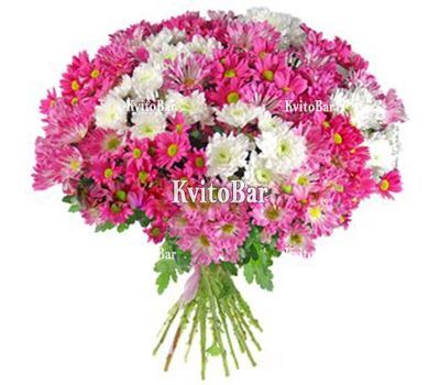 Букет із 15 хризантем