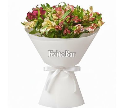 Букет из 17 альстромерий