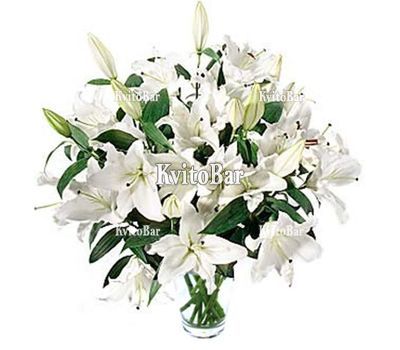Букет із 19 лілій