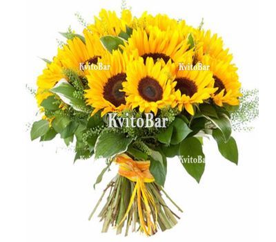 Букет із 19 соняшників