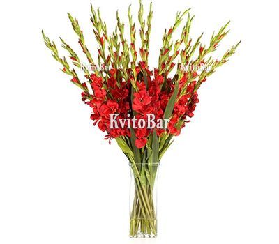 Букет із 21 червоного гладіолуса