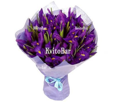 Букет із 25 ірисів