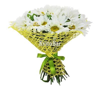 Bouquet of 25 real daisies