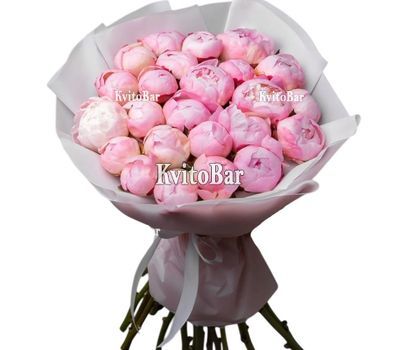 Букет із 25 рожевих півоній