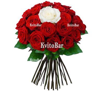 Букет із червоних троянд і одна біла