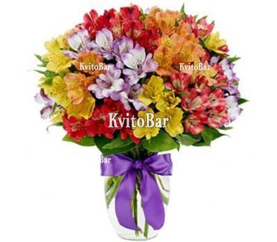 Букет із 35 альстромерій