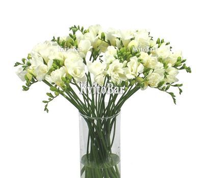 Букет із 35 фрезій