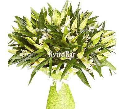 Букет із 35 лілій