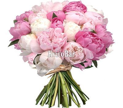 Букет із 35 півоній